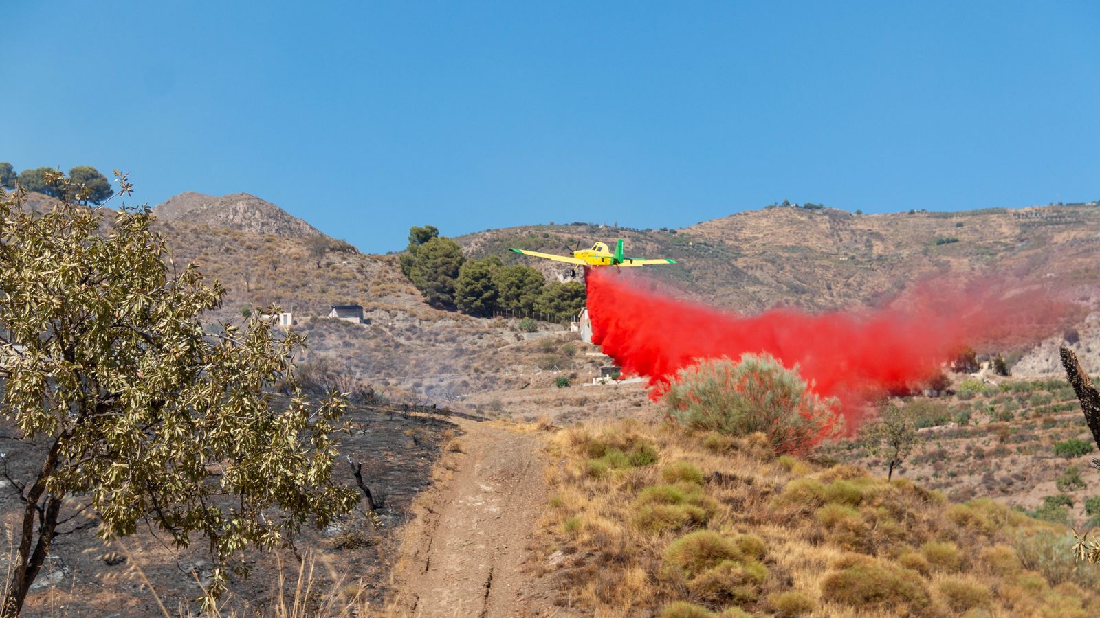 Se ha desplegado un amplio dispositivo