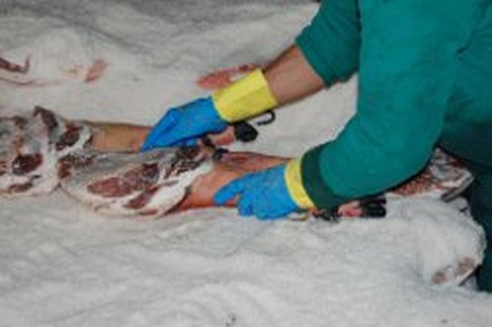 Jamones Eíriz, un sello lleno de tradición