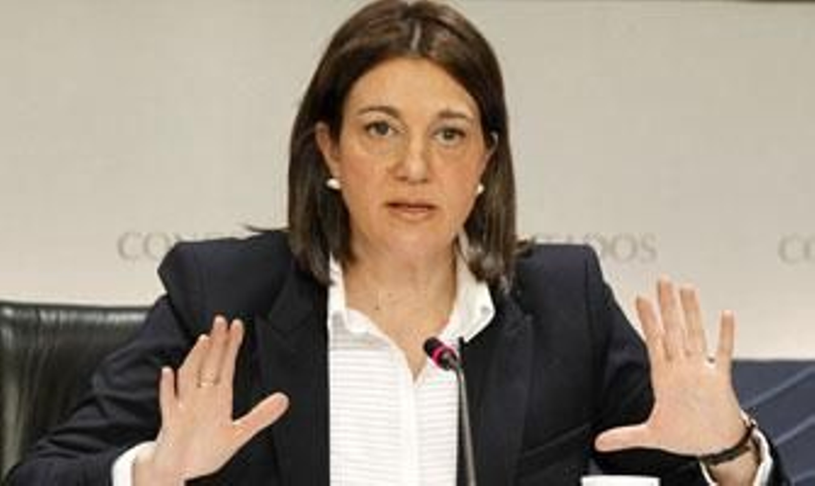 El PSOE pide un pleno extraordinario sobre la reforma del aborto