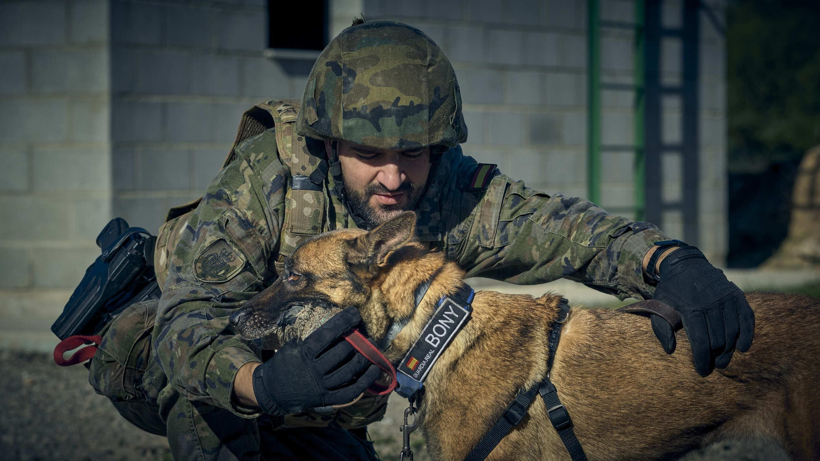 Maniobras Canex con unidades caninas de las Fuerzas Armadas, Policía y Guardia Civil