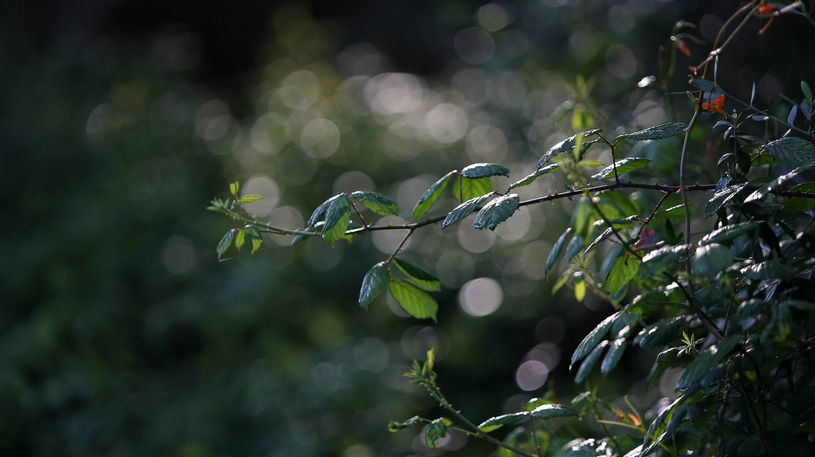 Las mejores fotos del parque fluvial del Río Pícaro