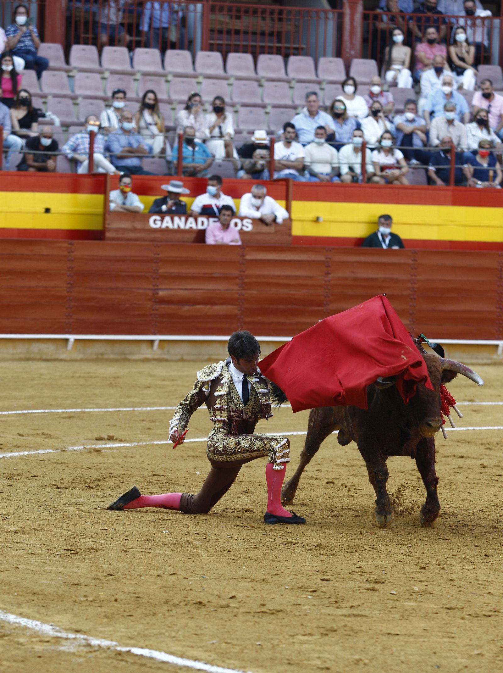 Fotogalería corrida de toros. Cayetano Rivera, Paco Ureña y Roca Rey. Roquetas de Mar.