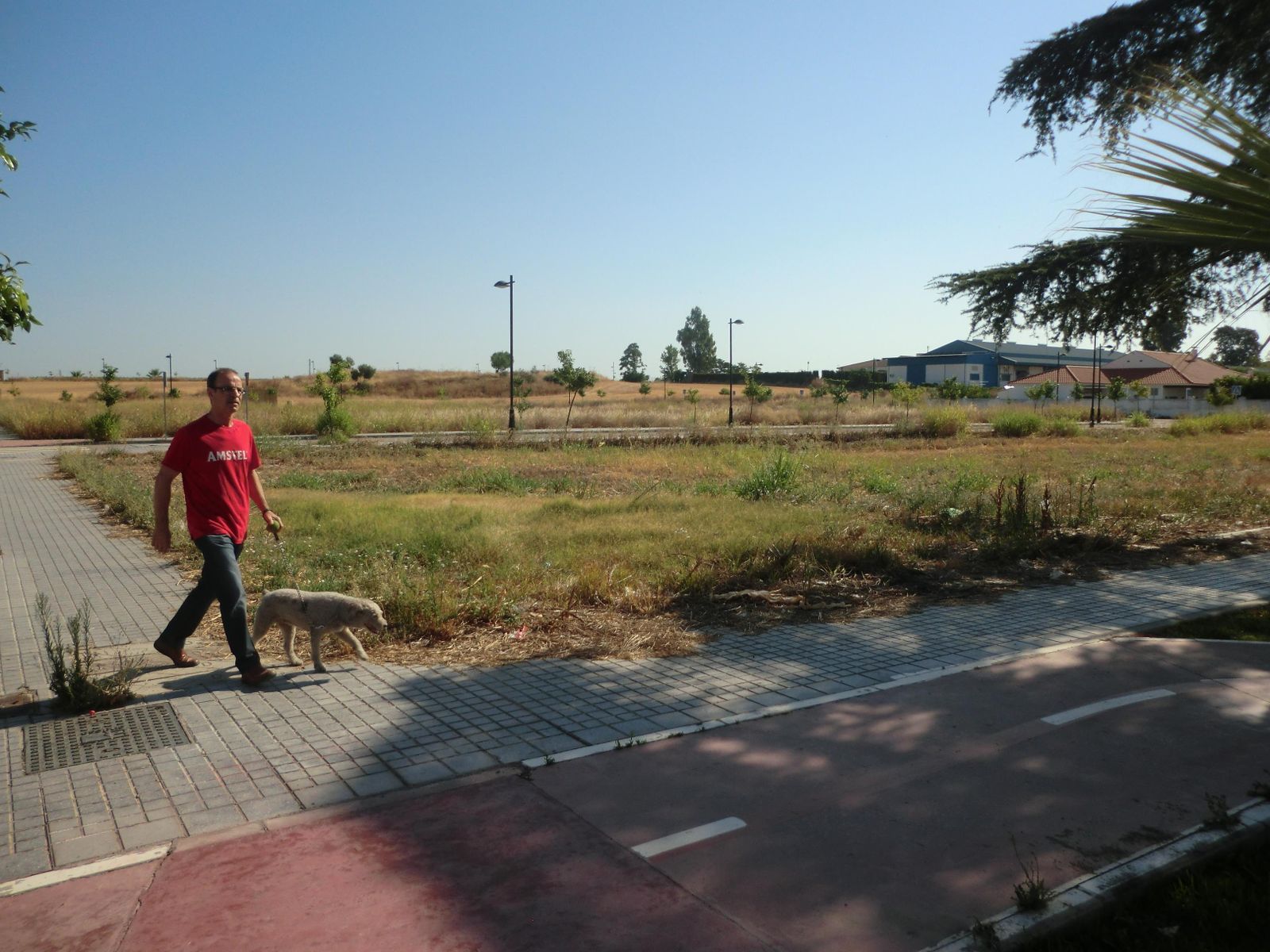 Terrenos donde se ubicará el complejo sanitario.