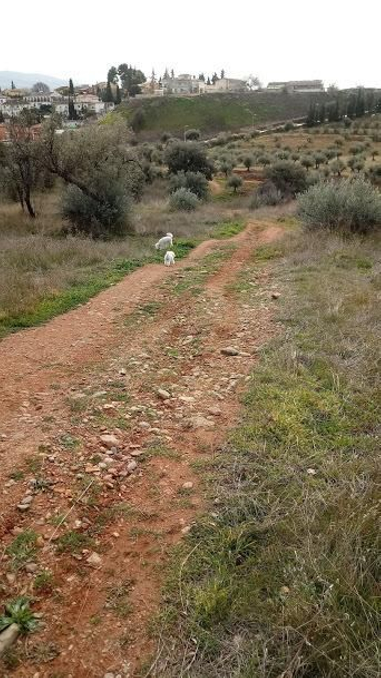 Pozos en el camino del Lorador