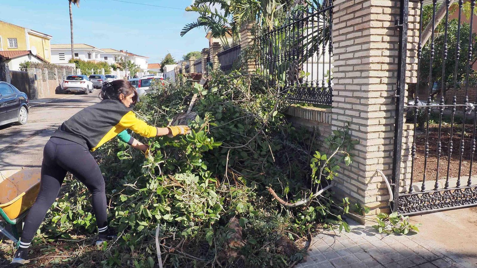 Mercedes Yaque se afana en retirar este miércoles restos vegetales en su casa en la calle Pulpo, en Pozo del Camino Mercedes Yaque se afana en retirar este miércoles restos vegetales en su casa en la calle Pulpo, en Pozo del Camino