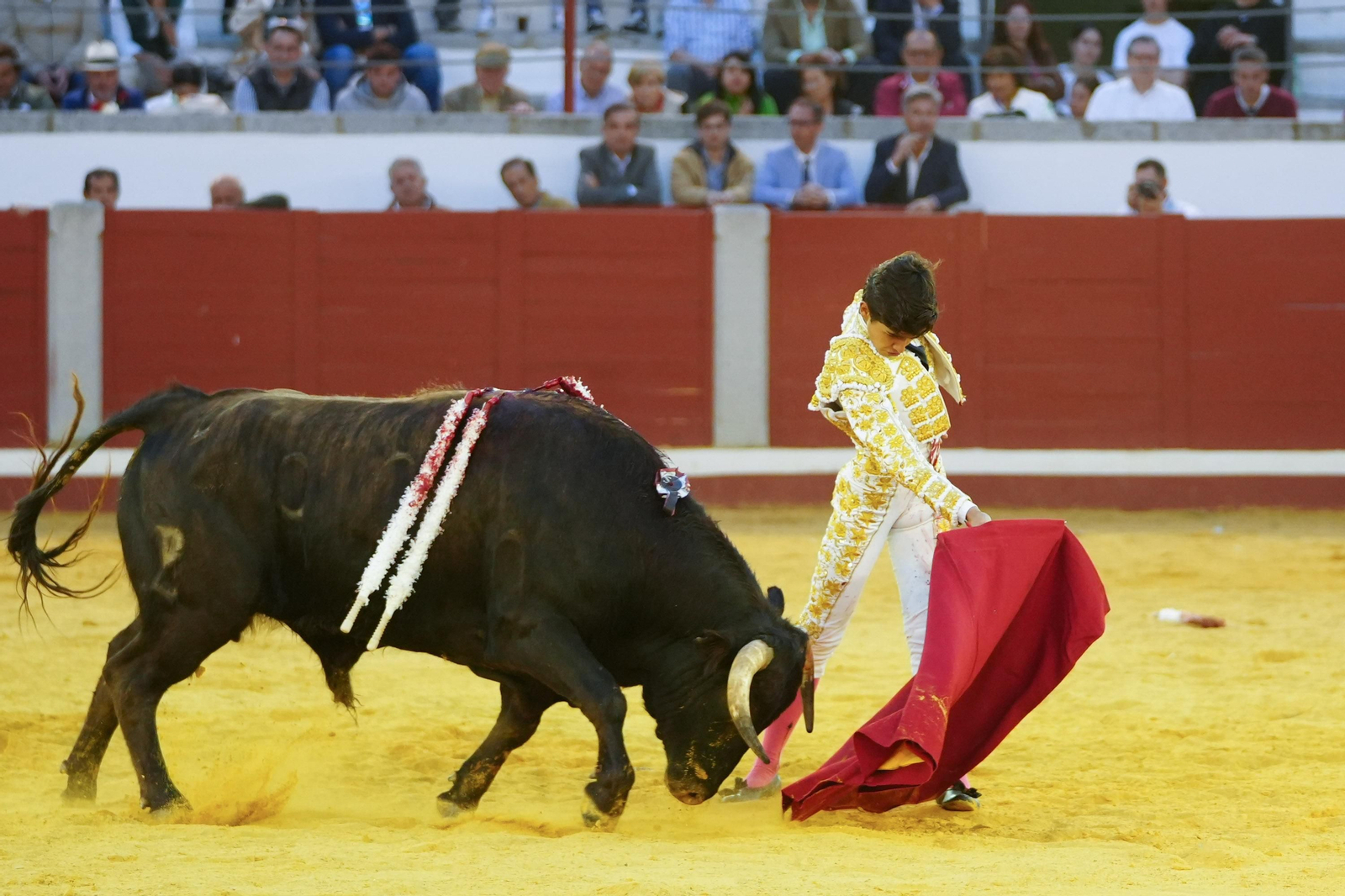 Las mejores imágenes de Manuel Morán, El Fandi y Daniel Luque en Pozoblanco