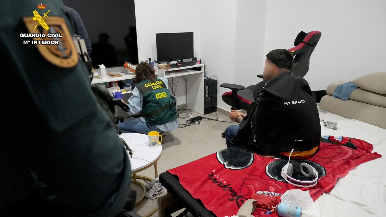 Detenido el principal desarrollador de kits de 'phishing' bancario para grupos que querían "robar a las abuelas".