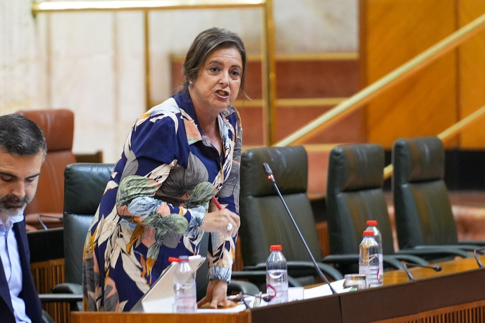 La consejera de Salud en el pleno de esta mañana en el Parlamento andaluz.