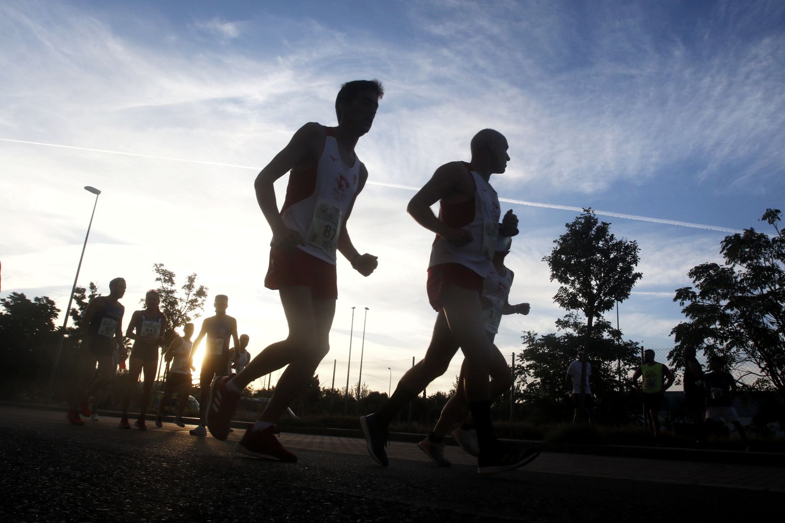 Las mejores fotos de la XXXV Media Maratón Córdoba - Almodóvar del Río