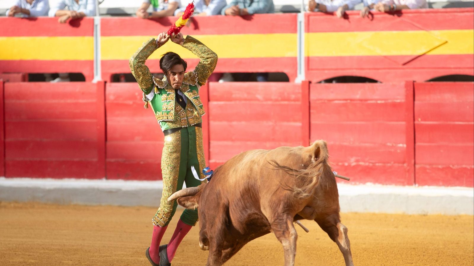 Novillada en la Plaza de Toros de Granada con motivo del miércoles de Corpus Novillada en la Plaza de Toros de Granada con motivo del miércoles de Corpus
