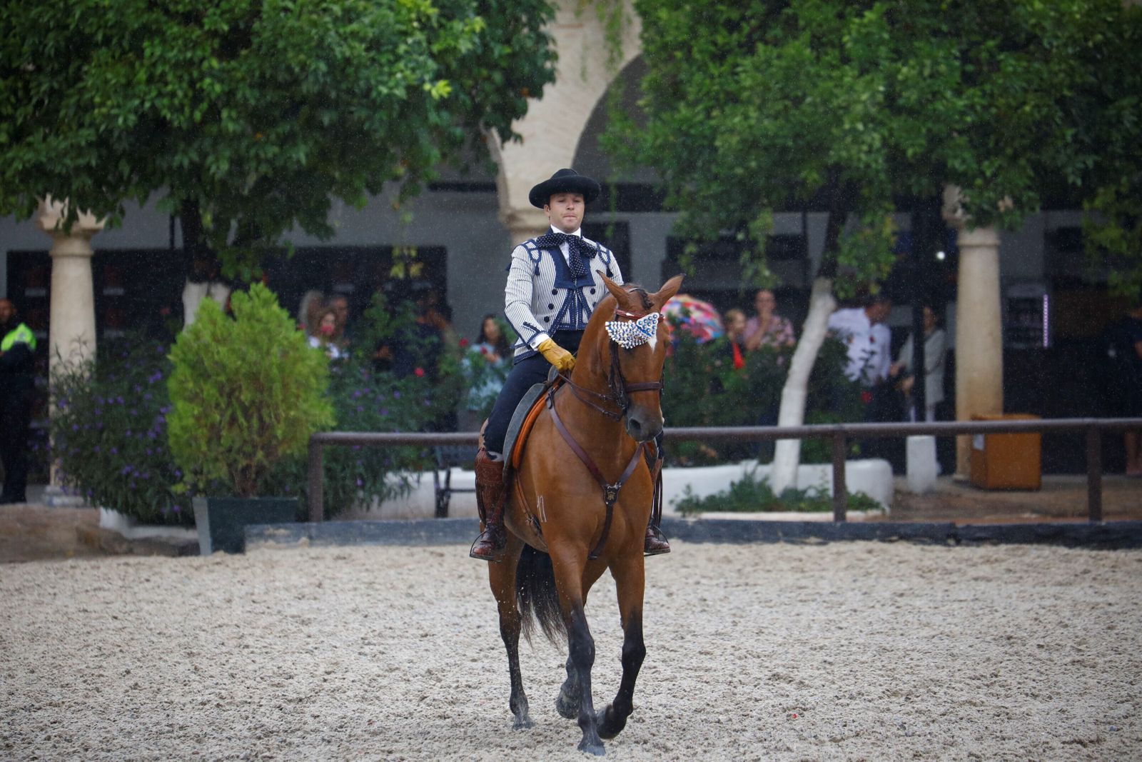 La celebración de la VI Copa de España de Alta Escuela en Córdoba, en imágenes