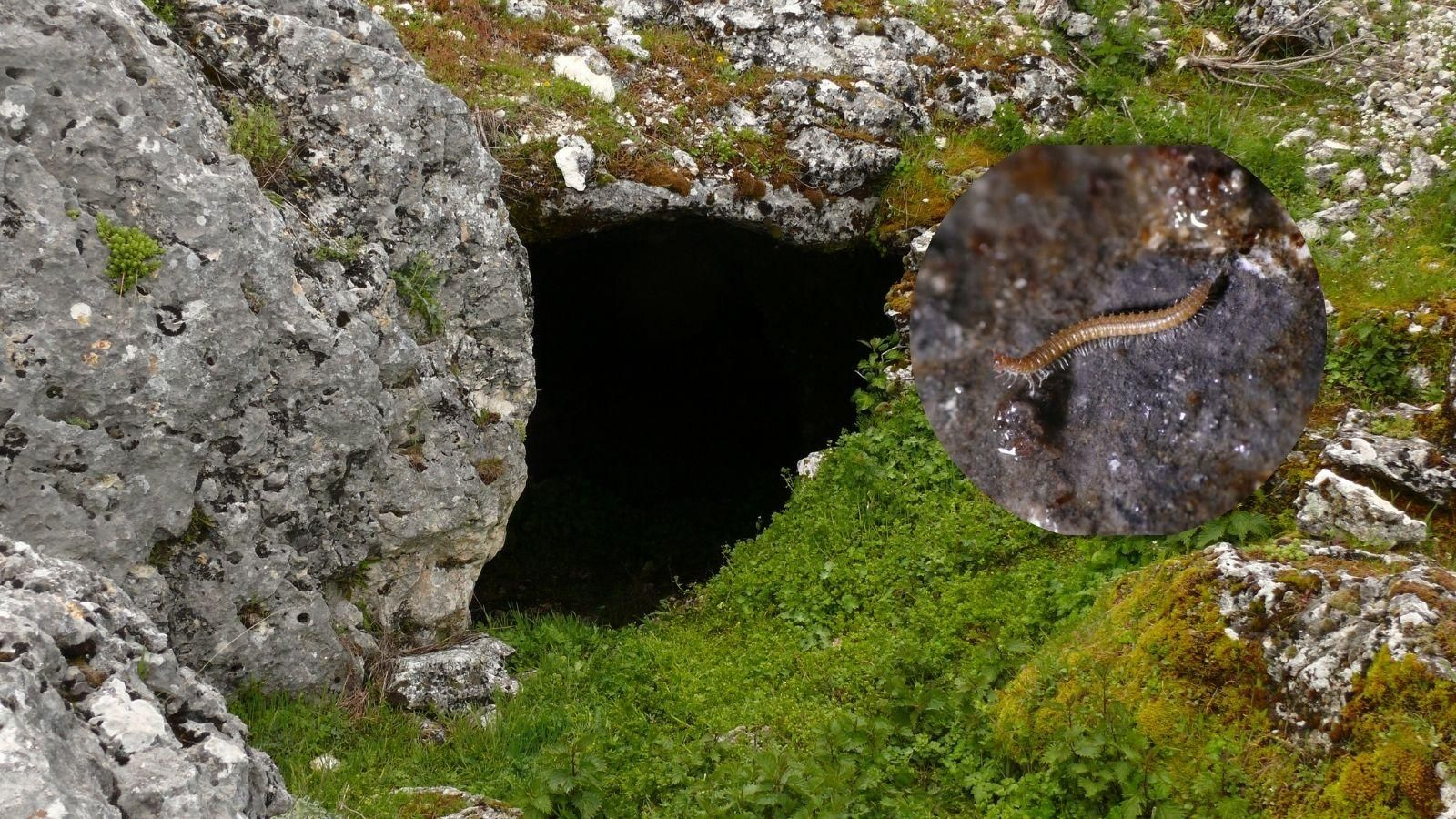 Cueva del Jabalí.