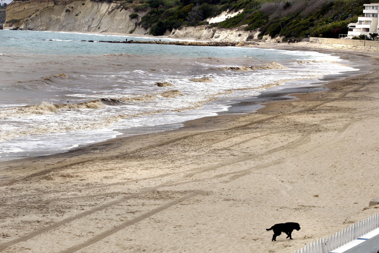 Solo queda un 3 por ciento de tierra firme intacta