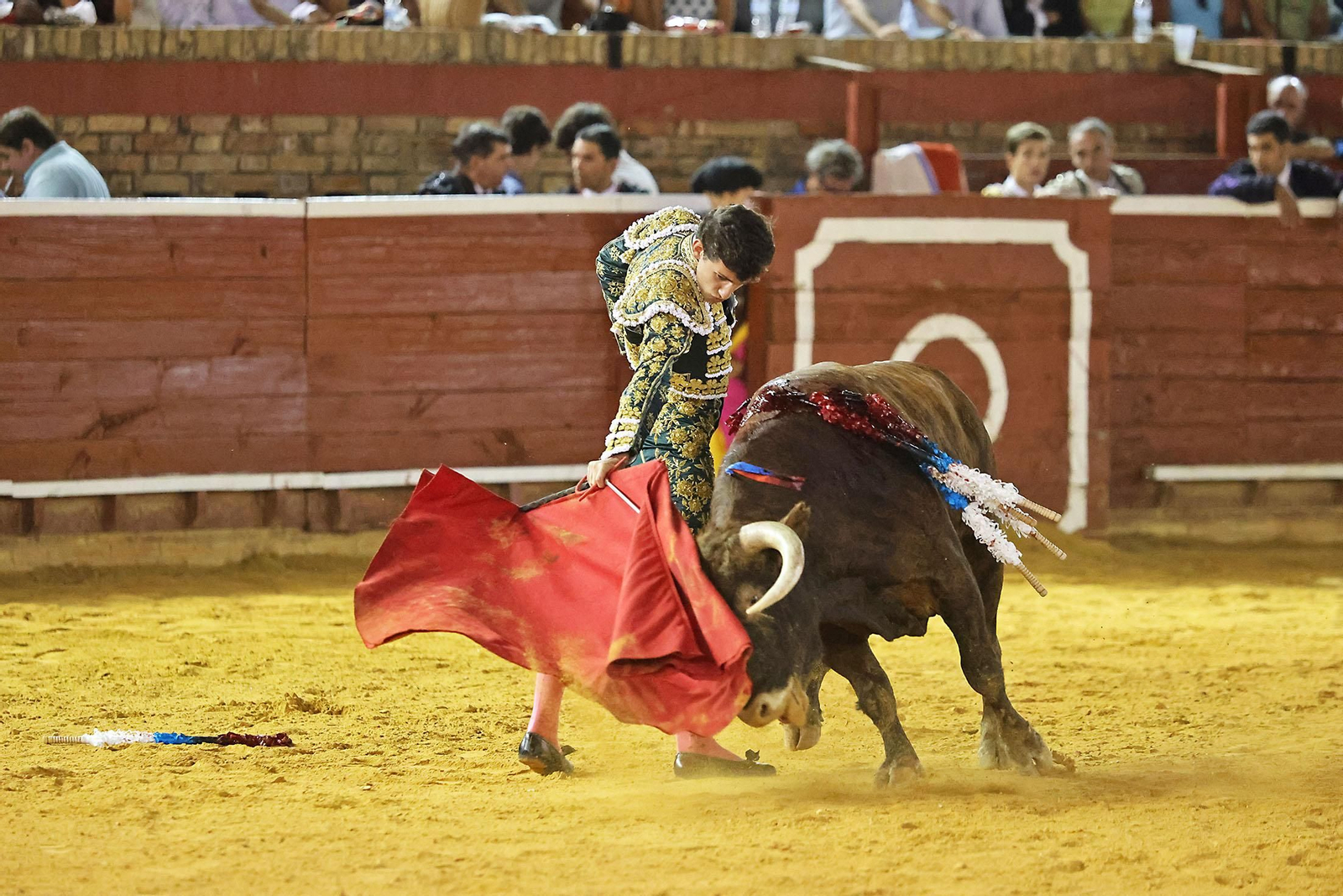 Toros La Merced 2024 Novillada con picadores(