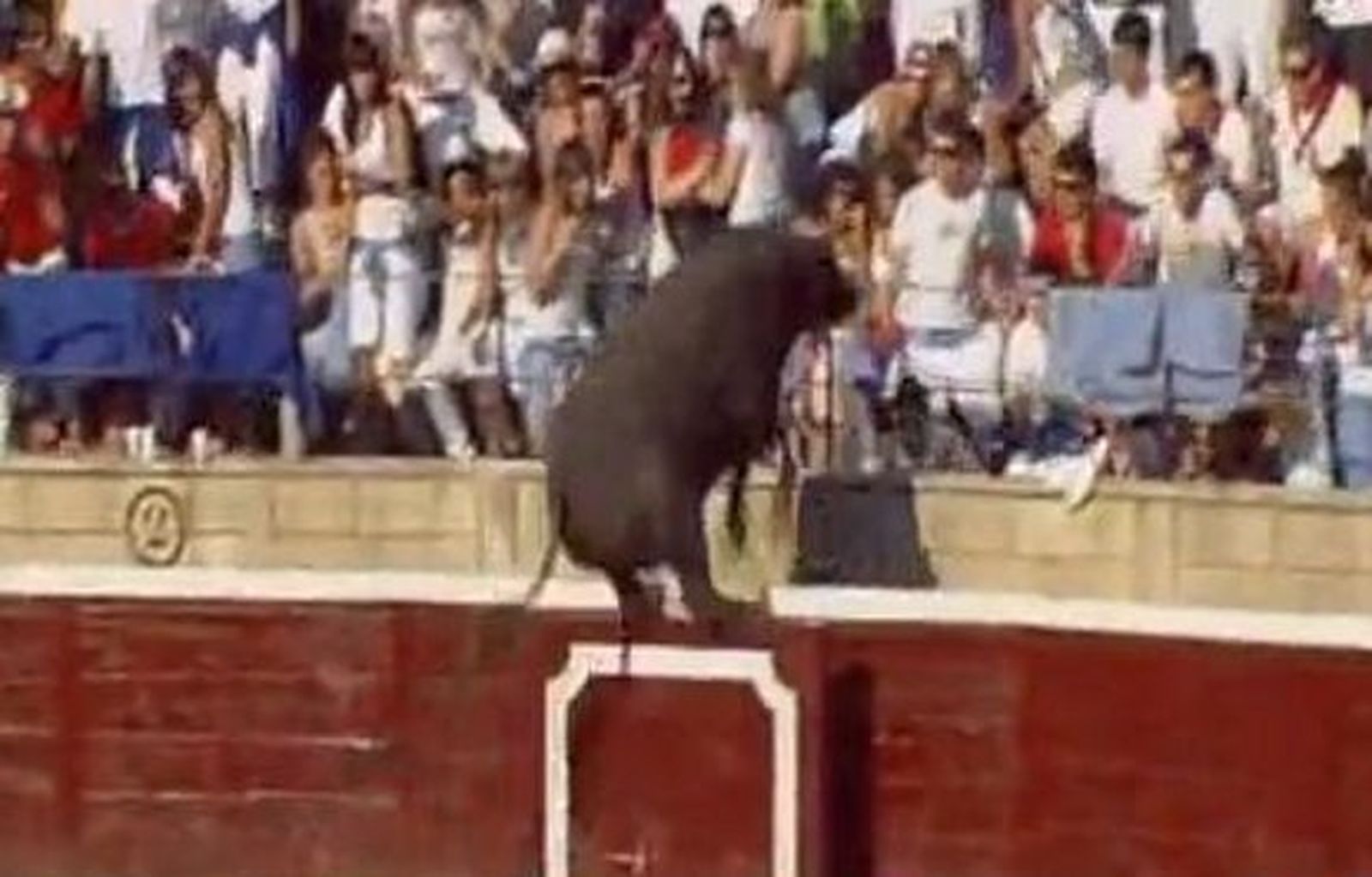 40 heridos al saltar un astado el tendido en la plaza de toros de Tafalla