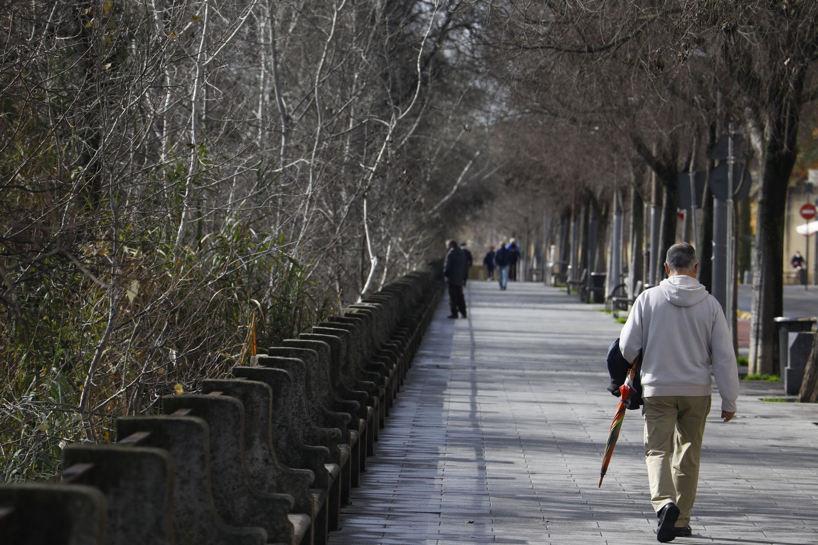 Fotografías: La borrasca Justine deja atrás Córdoba