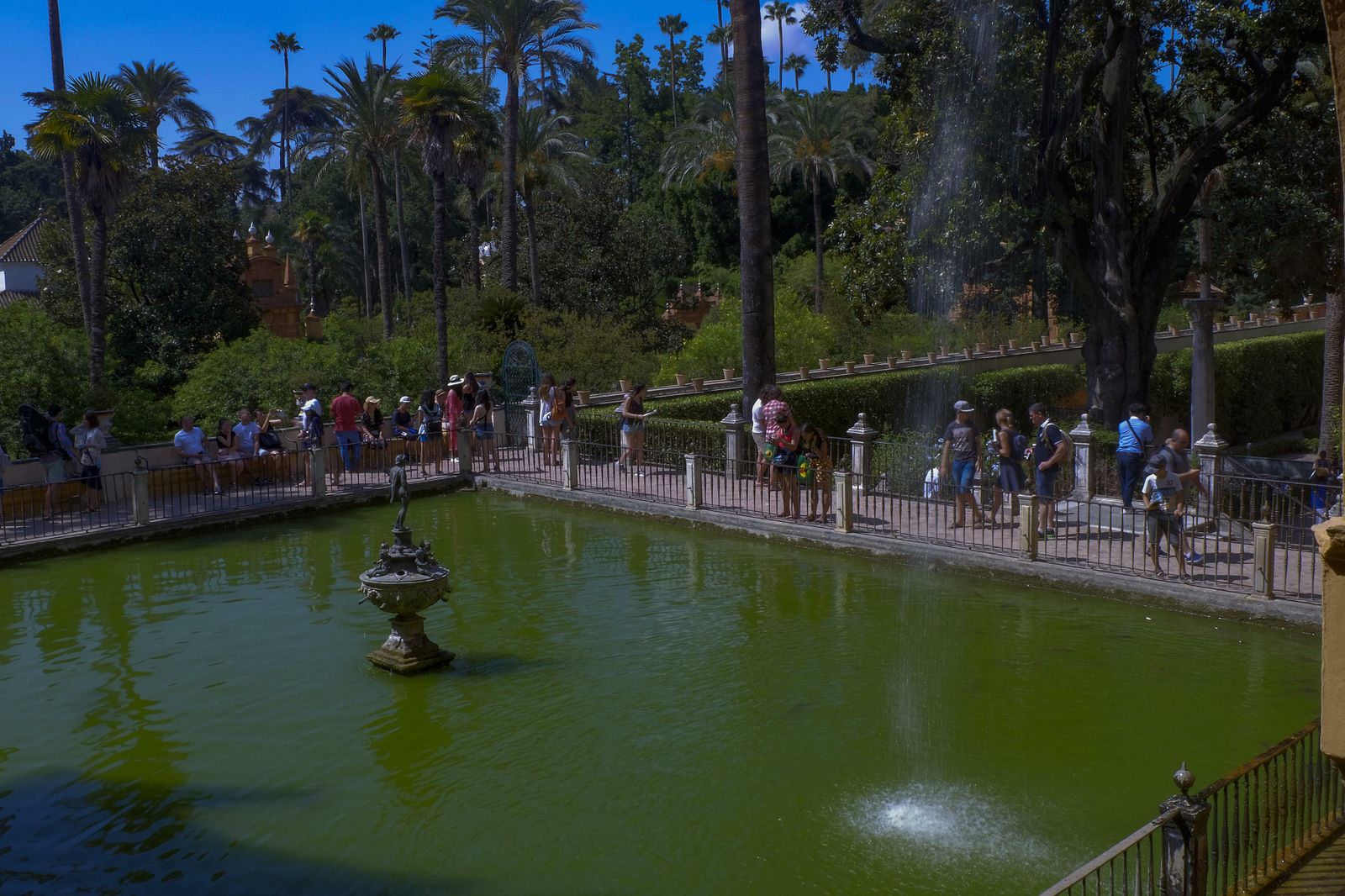 Fotos del Real Alcázar de Sevilla