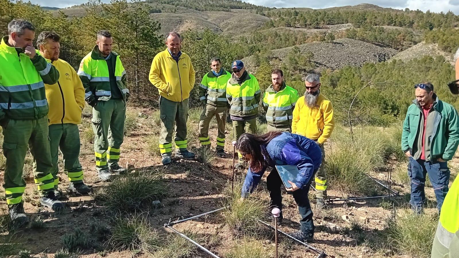 La finca experimental se encuentra situada en el municipio de Alcóntar