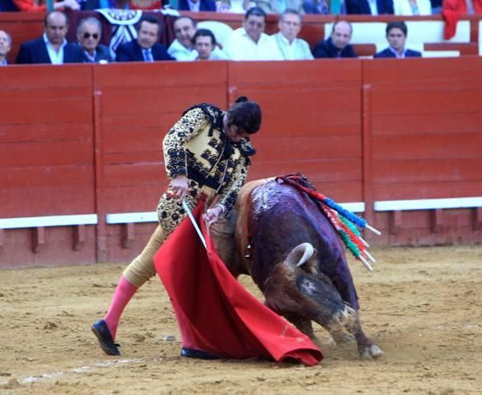 El diestro José Antonio "Morante de la Puebla" protagoniza una actuación magistral, en el cuarto festejo de la Feria del Caballo de Jerez, al cortar dos orejas, que pudieron ser más de haber estado más acertado con los aceros. 

Foto: Juan Carlos Toro