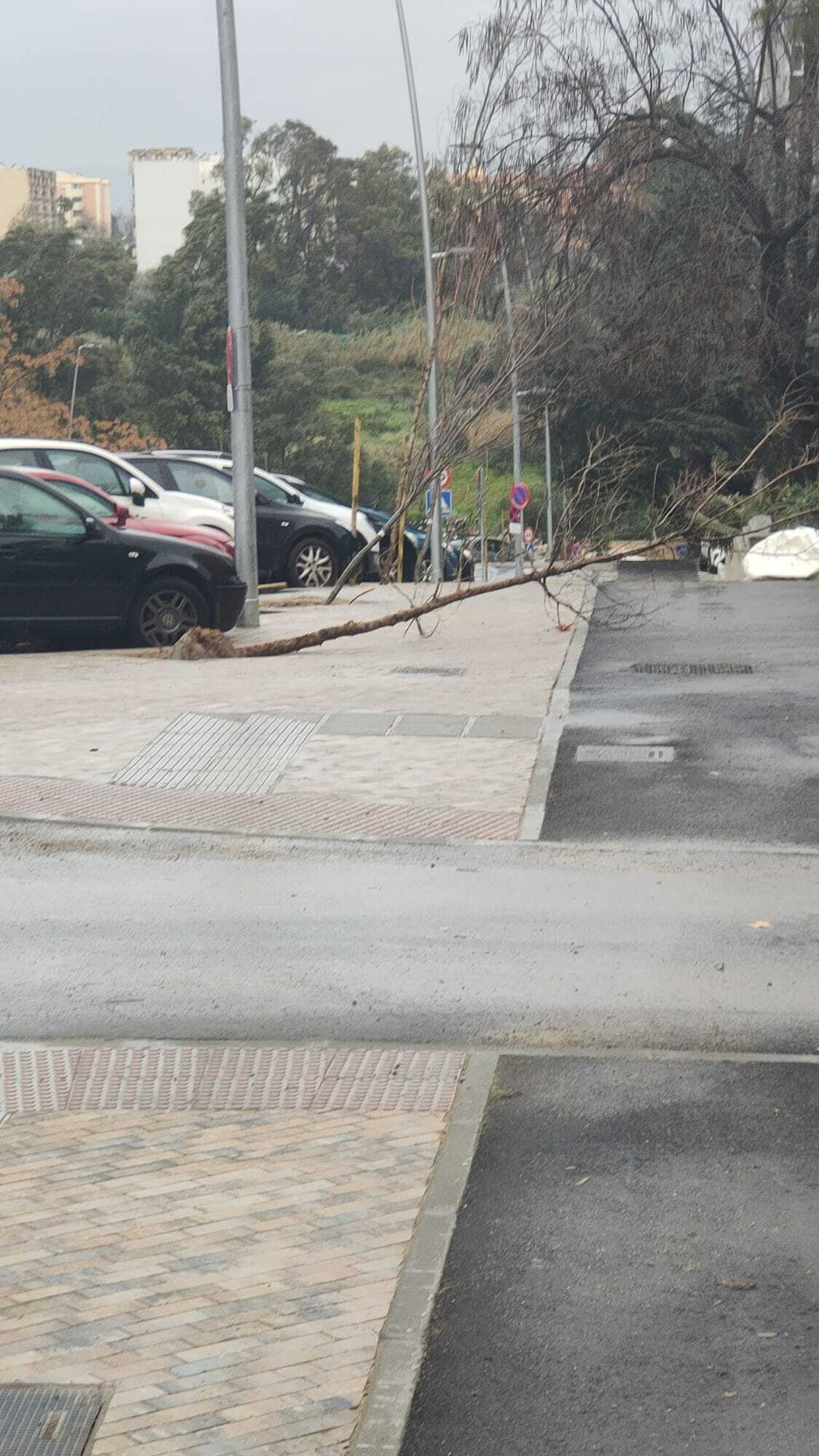 Las fotos de los lectores de Europa Sur del temporal Karlotta