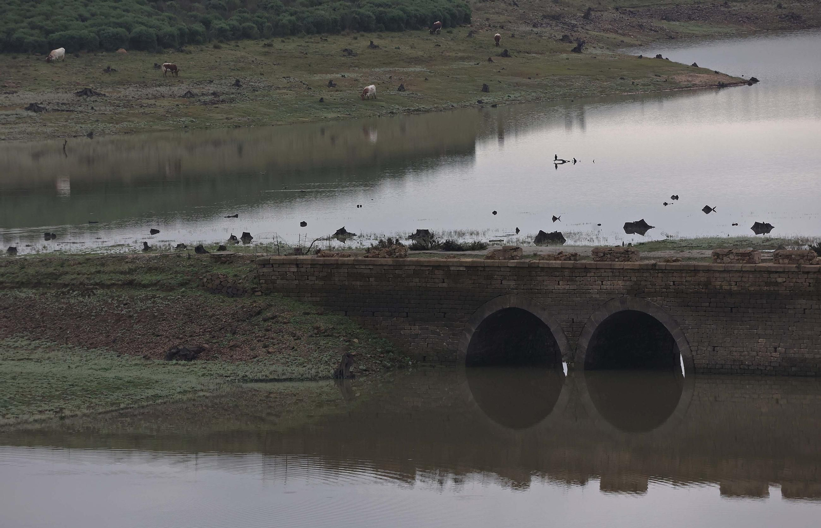 Fotos del pantano de Charco Redondo en Los Barrios