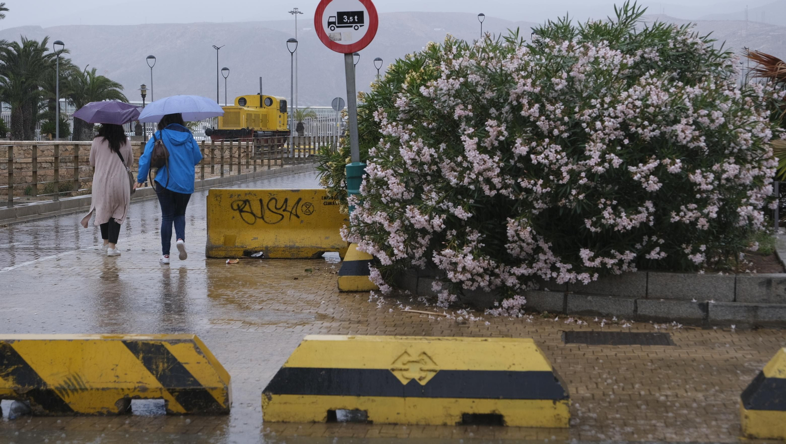 Los almerienses expresan su alegría por la lluvia
