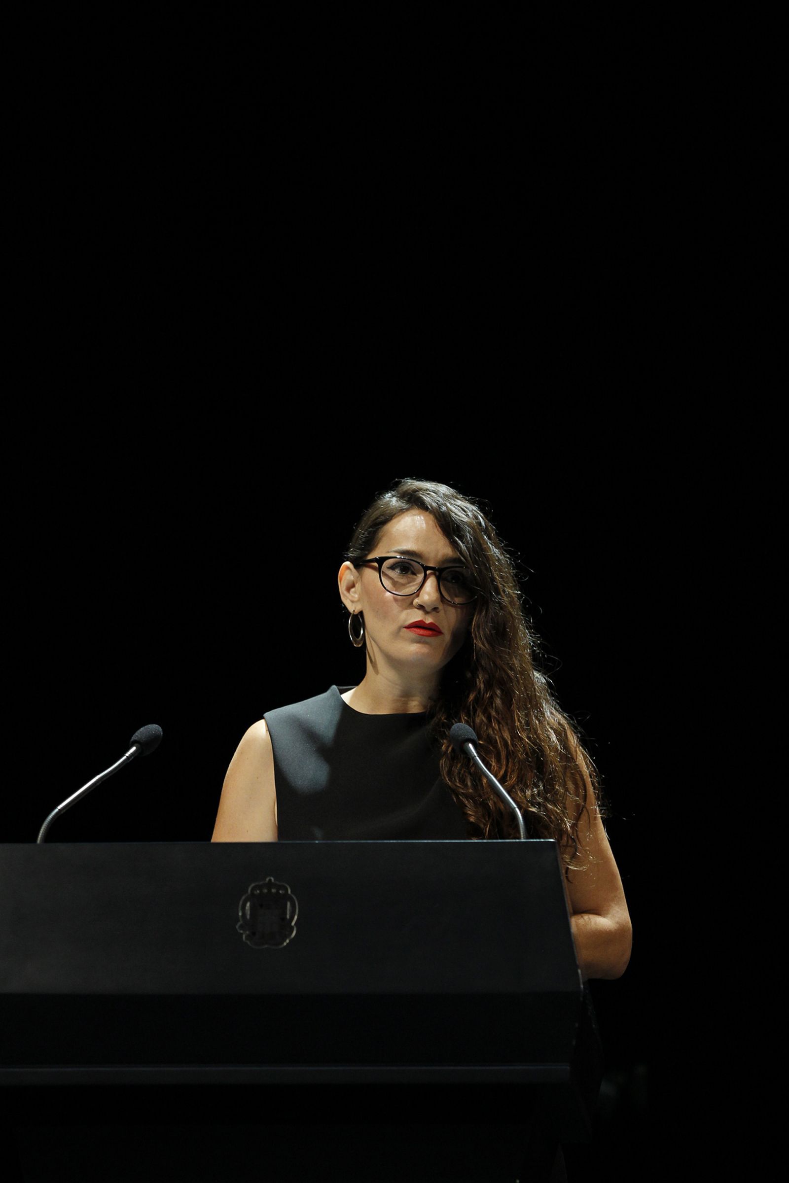 Fotogalería Pleno Constitución Ayuntamiento de Almería