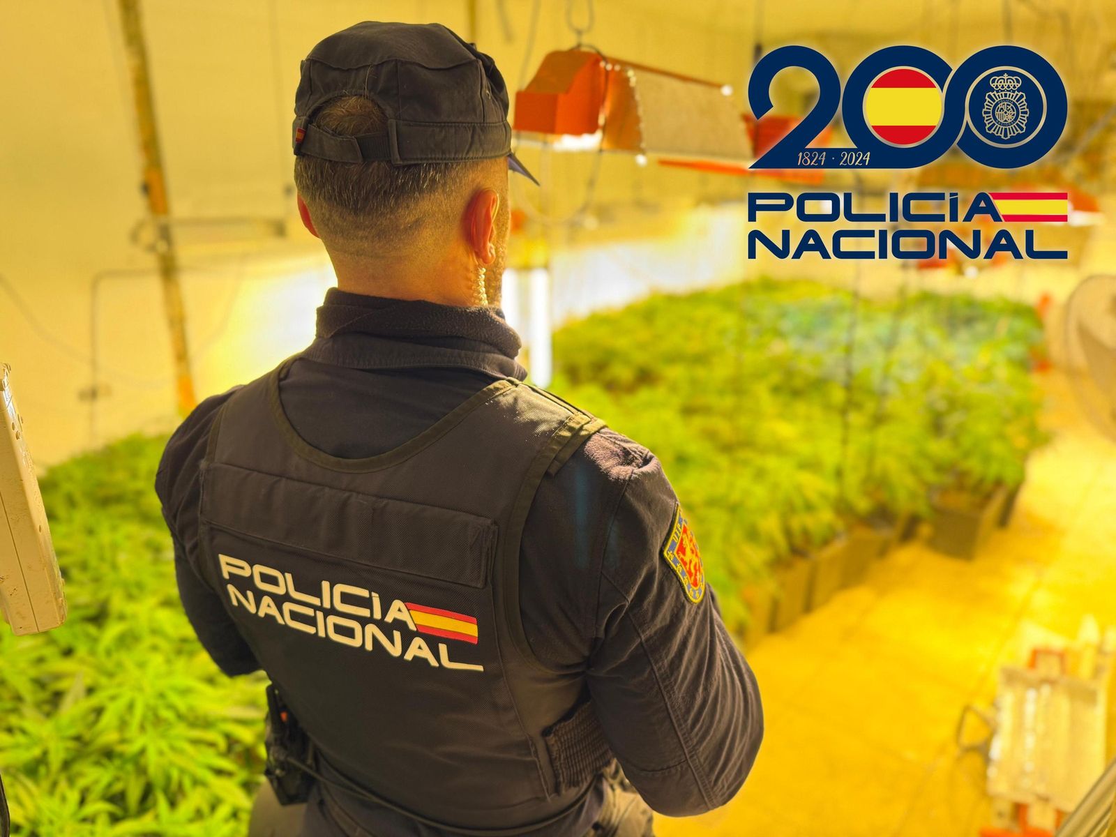 Las imágenes de la macrooperación policial contra el tráfico de drogas en Pechina