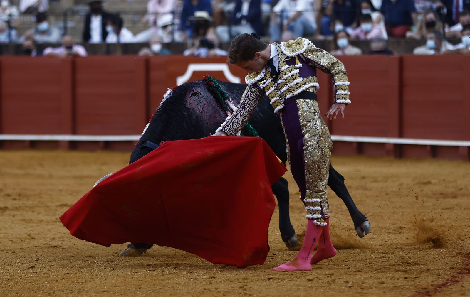 Fotos de la segunda novillada de la feria de San Miguel de Sevilla