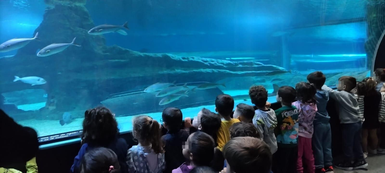 El CEIP Laimún  ha estado de excursión en el Acuario de Roquetas de Roquetas de Mar