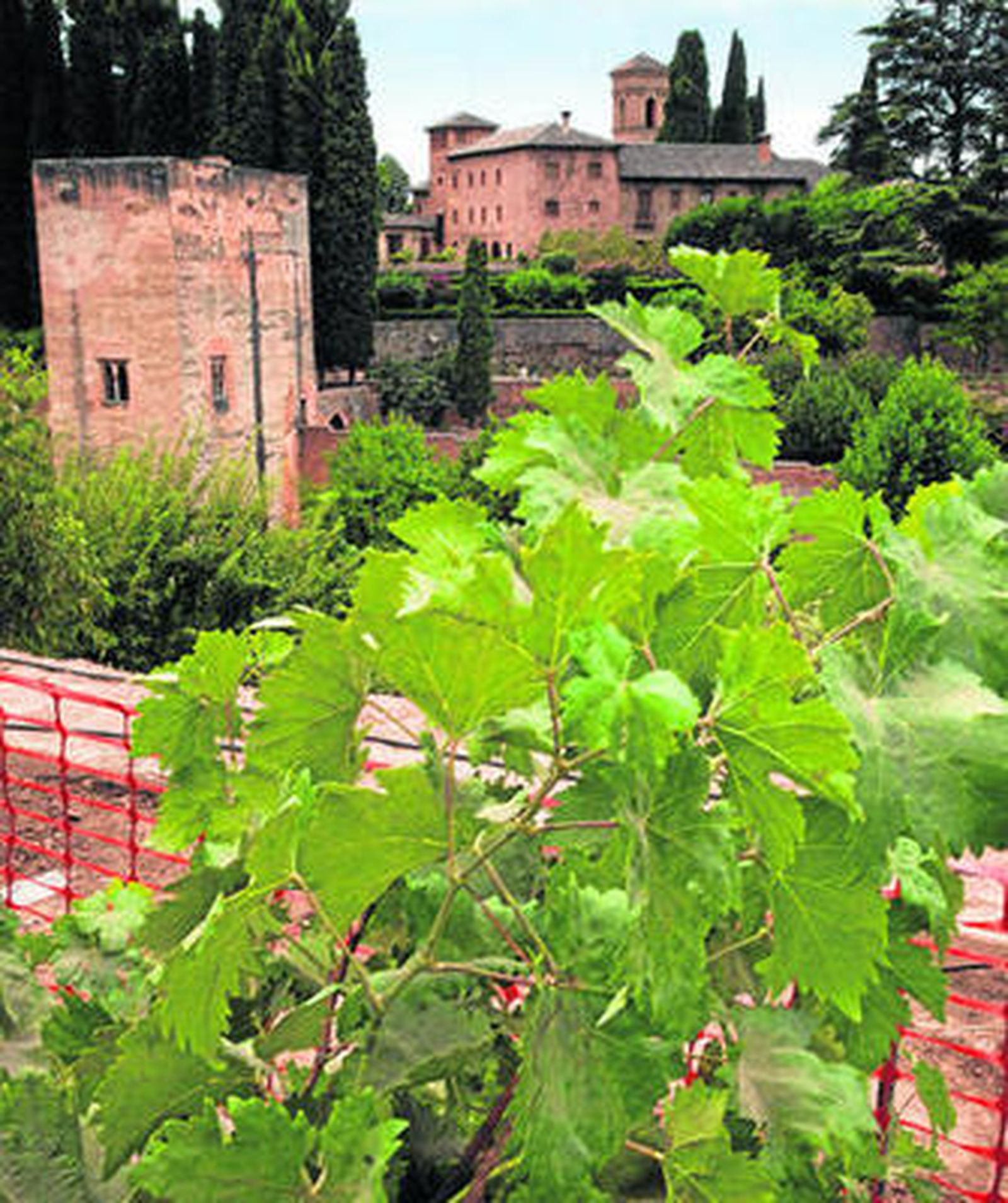 La Alhambra recupera sus huertas y se lanza a la producción de vinos