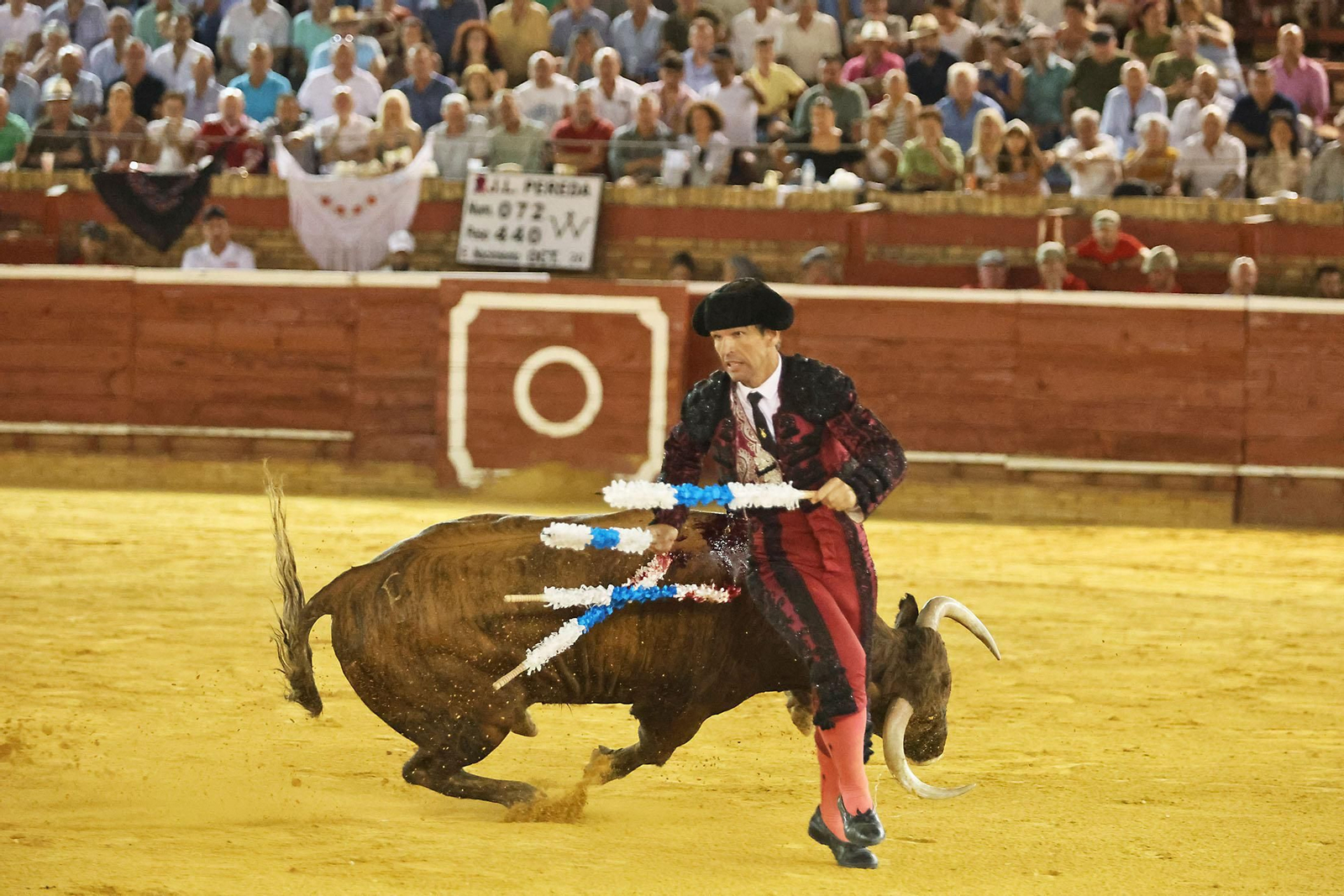 Toros La Merced 2024 Novillada con picadores(