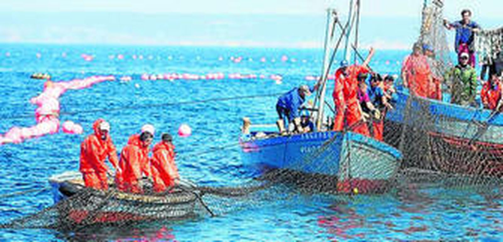 Trabajadores de una almadraba, en plena faena.
