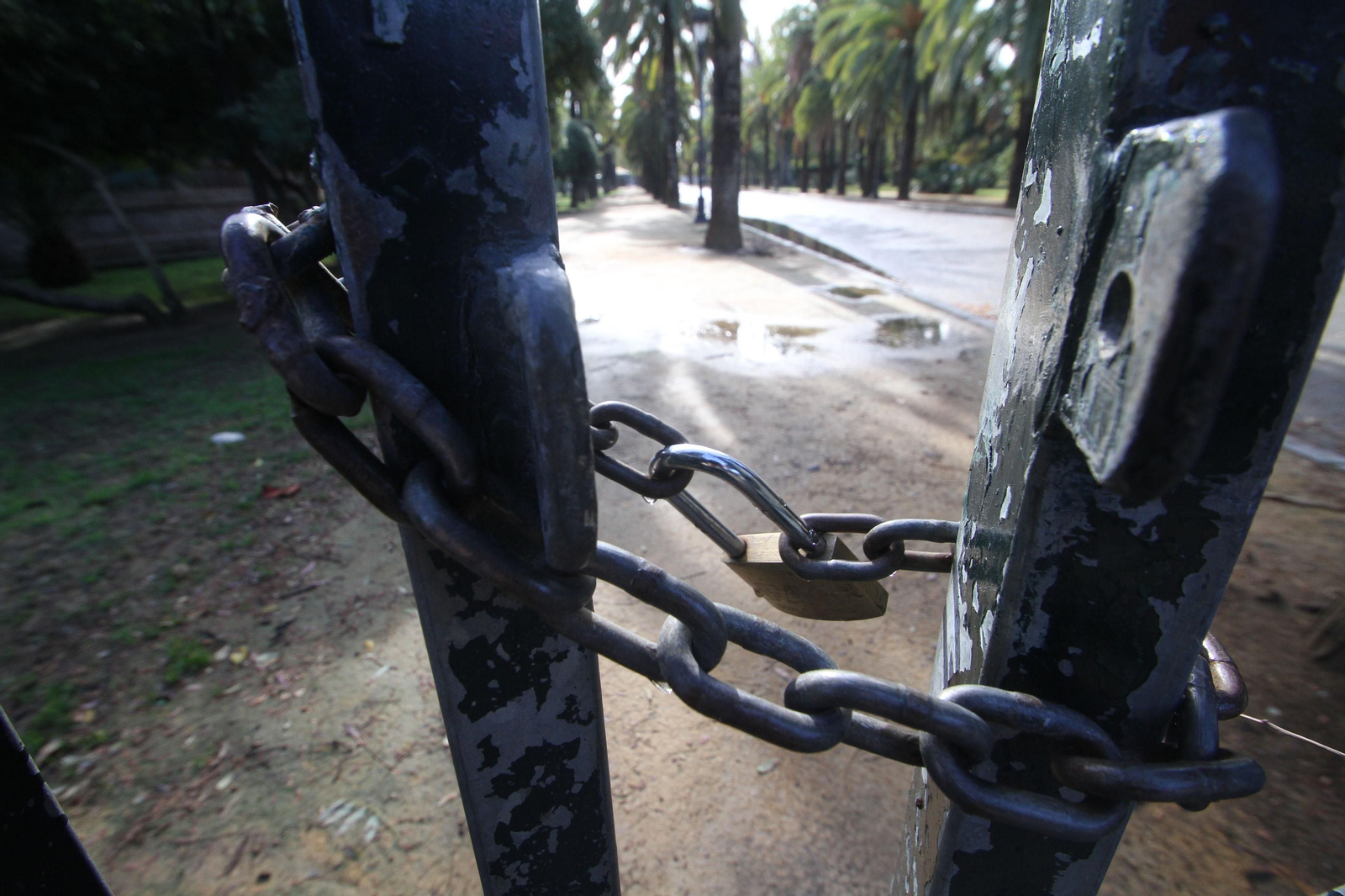 El parque de María Luisa, cerrado al público.