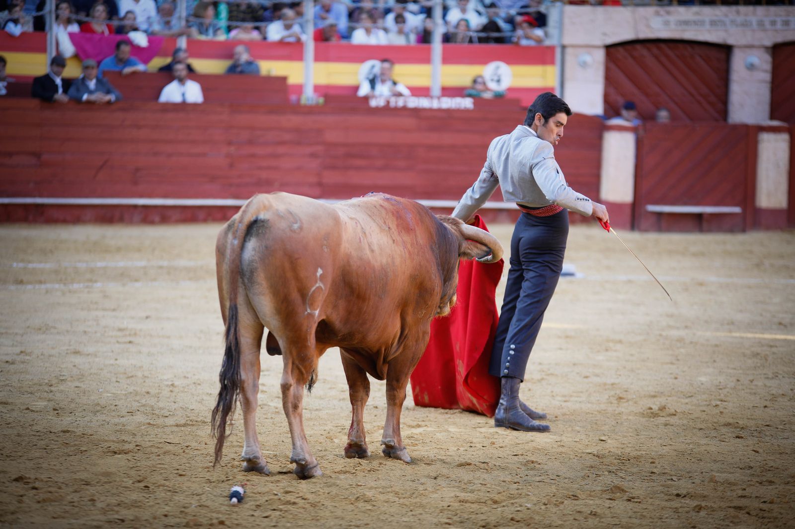 Imágenes del festival mixto lucha contra el cáncer
