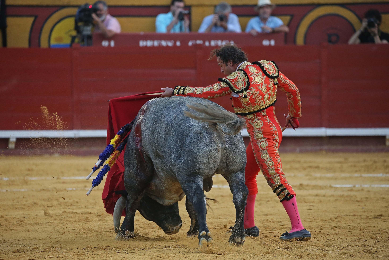 Fotos de la corrida del sábado de la Feria Taurina de Algeciras 2023: Antonio Ferrera, Manuel Escribano y Miguel Ángel Pacheco