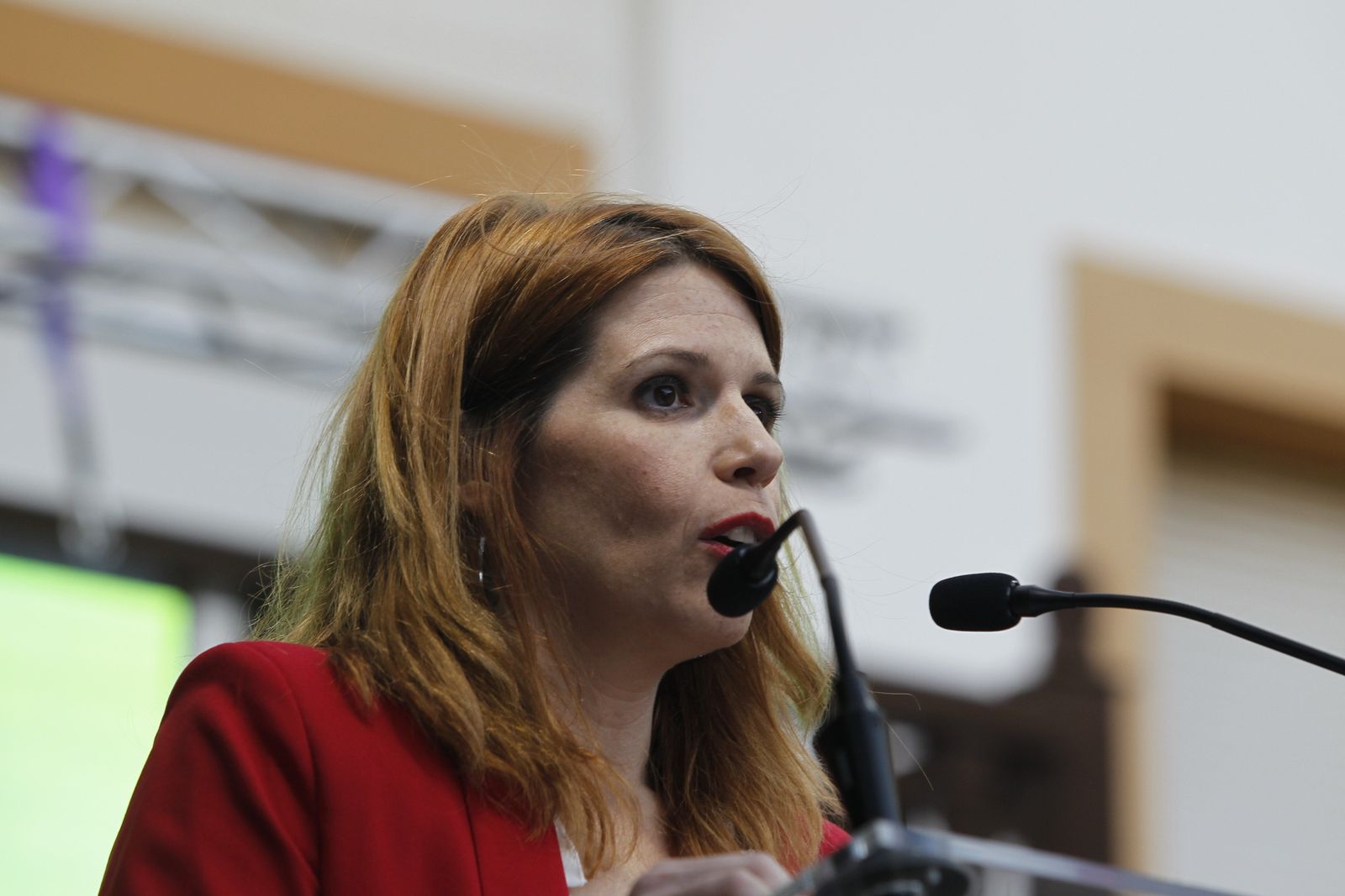 Fotogalería VII Día de la Comarca del Bajo Andarax