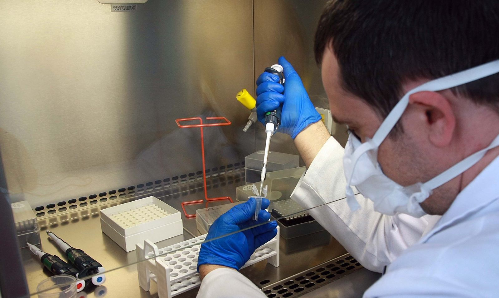 Trabajo en un laboratorio.