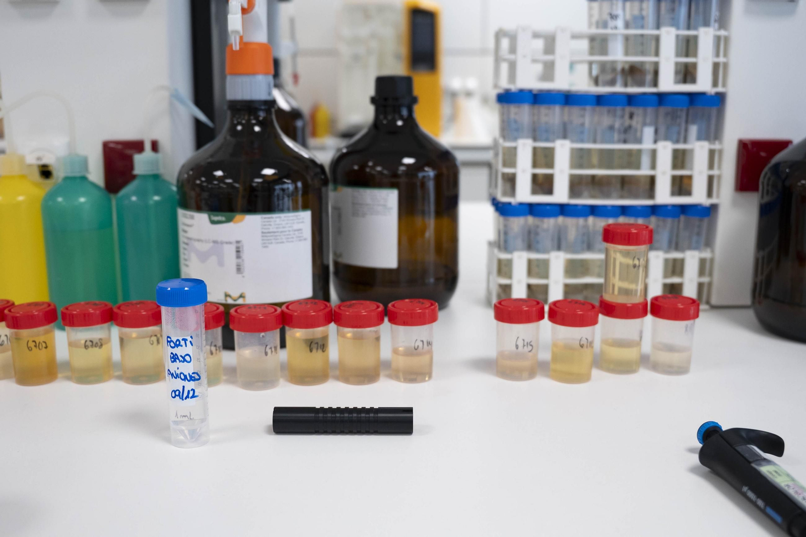 CIT COEX abre sus puertas al futuro: innovación, conocimiento y territorio