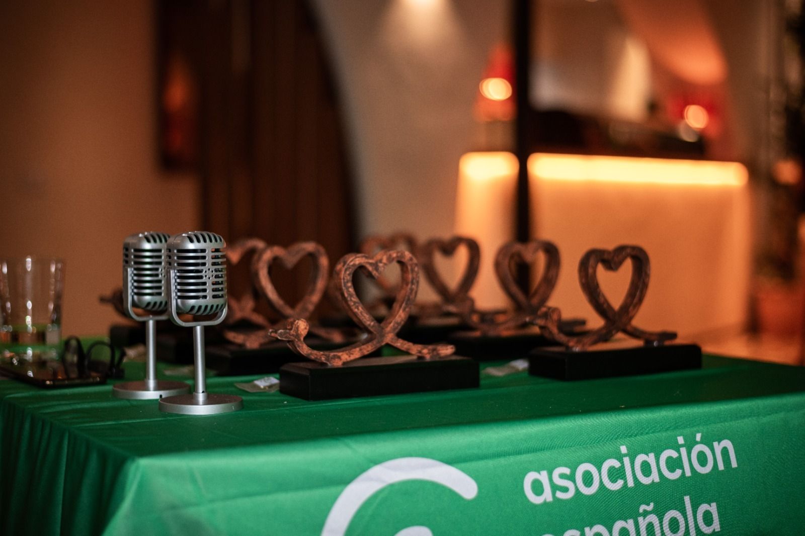 La gala anual de la Asociación Española Contra el Cáncer de Málaga, en imágenes