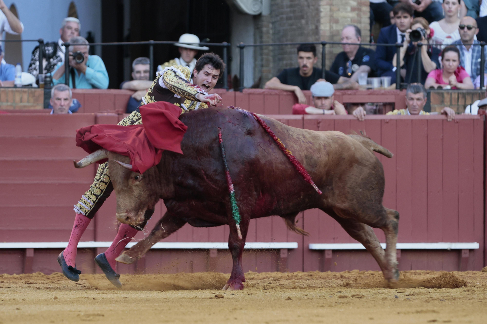 Las imágenes del festejo
