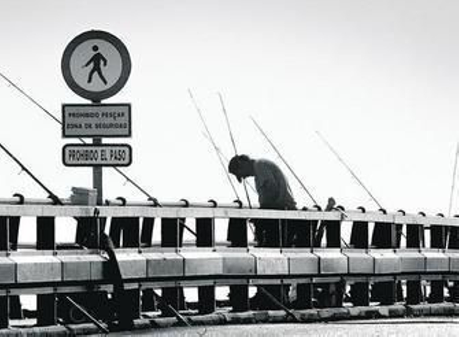Actualmente está prohibida la pesca en el Puente José León de Carranza.