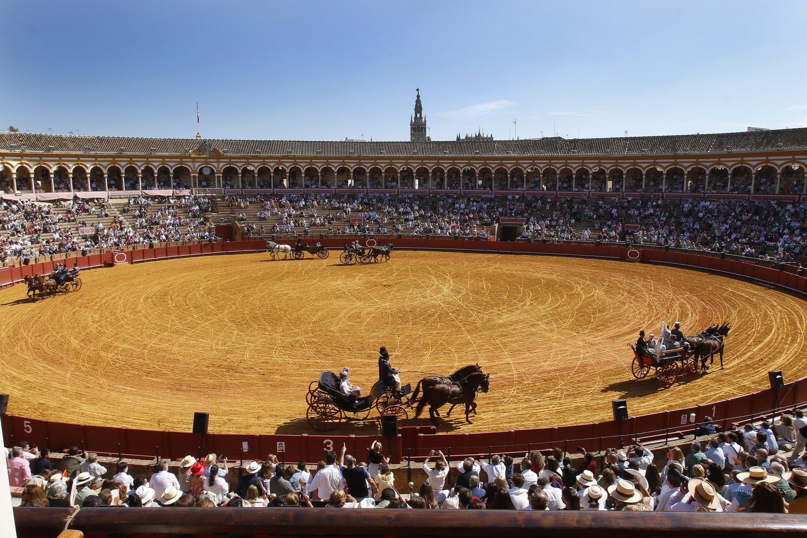 Exhibición de Enganches