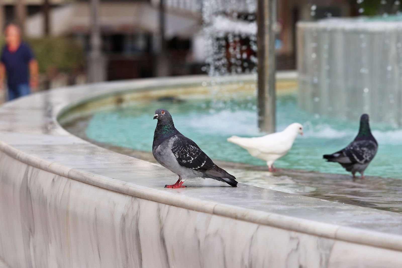 Las imágenes más destacadas del miércoles 25 de septiembre en Huelva