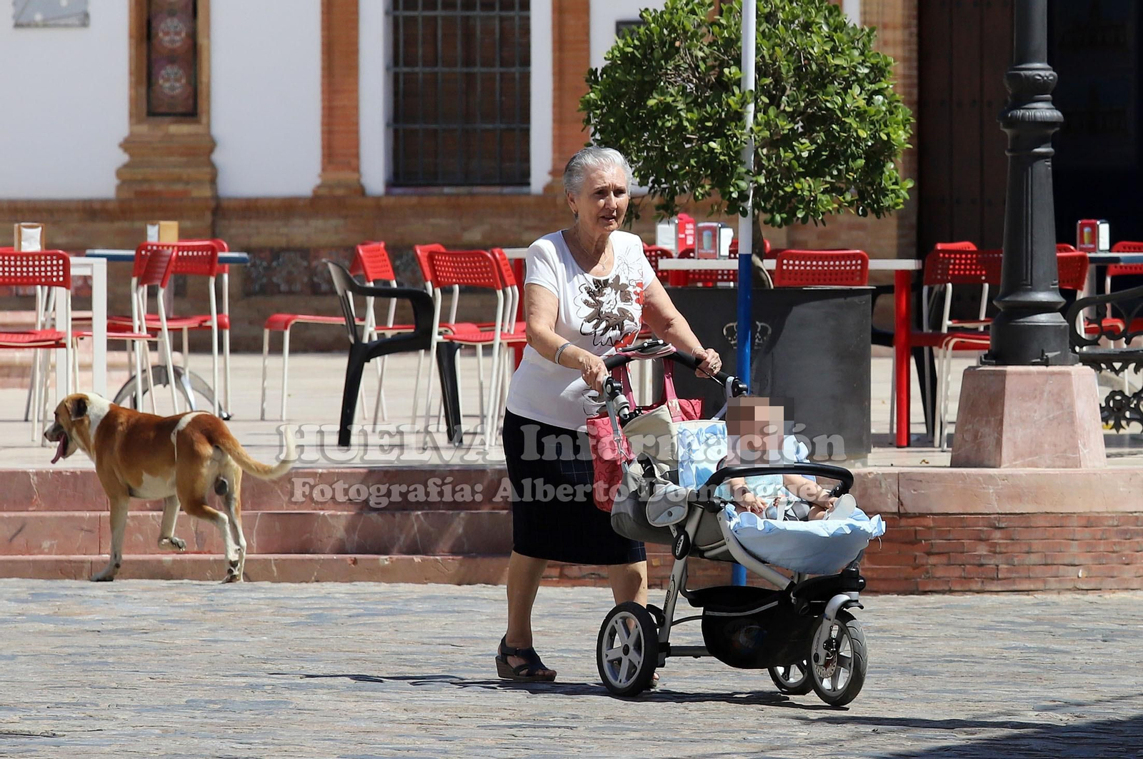 Imágenes del brote de listerosis en Chucena