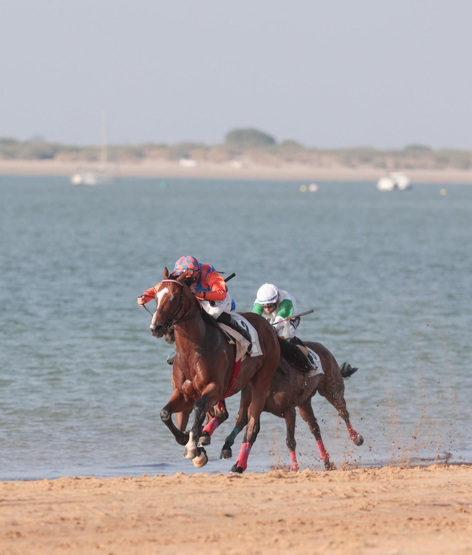 Imágenes de la última jornada del primer ciclo de las Carreras de Caballos de Sanlúcar 2025