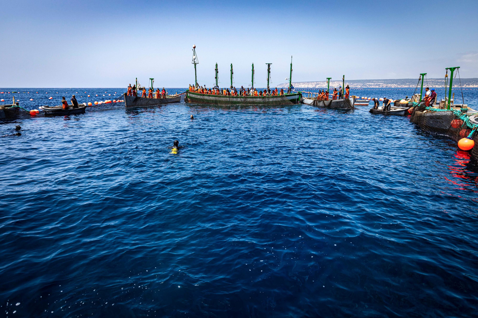 Las imágenes de la primera levantá en la almadraba de Barbate