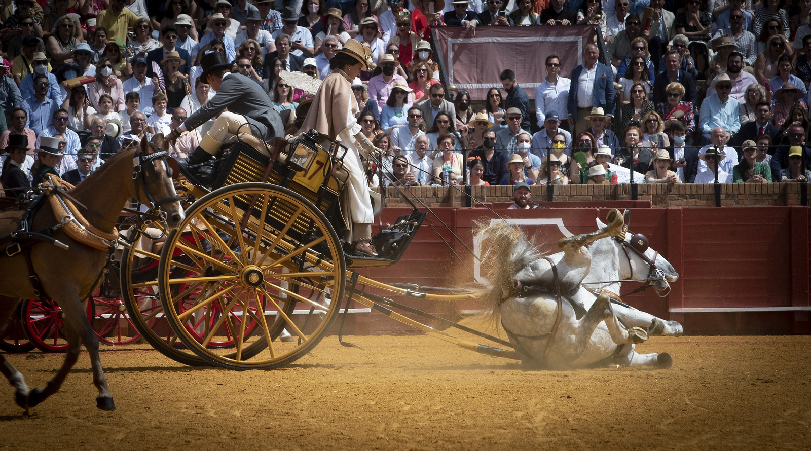 Las imágenes de la Exhibición de Enganches en la Maestranza