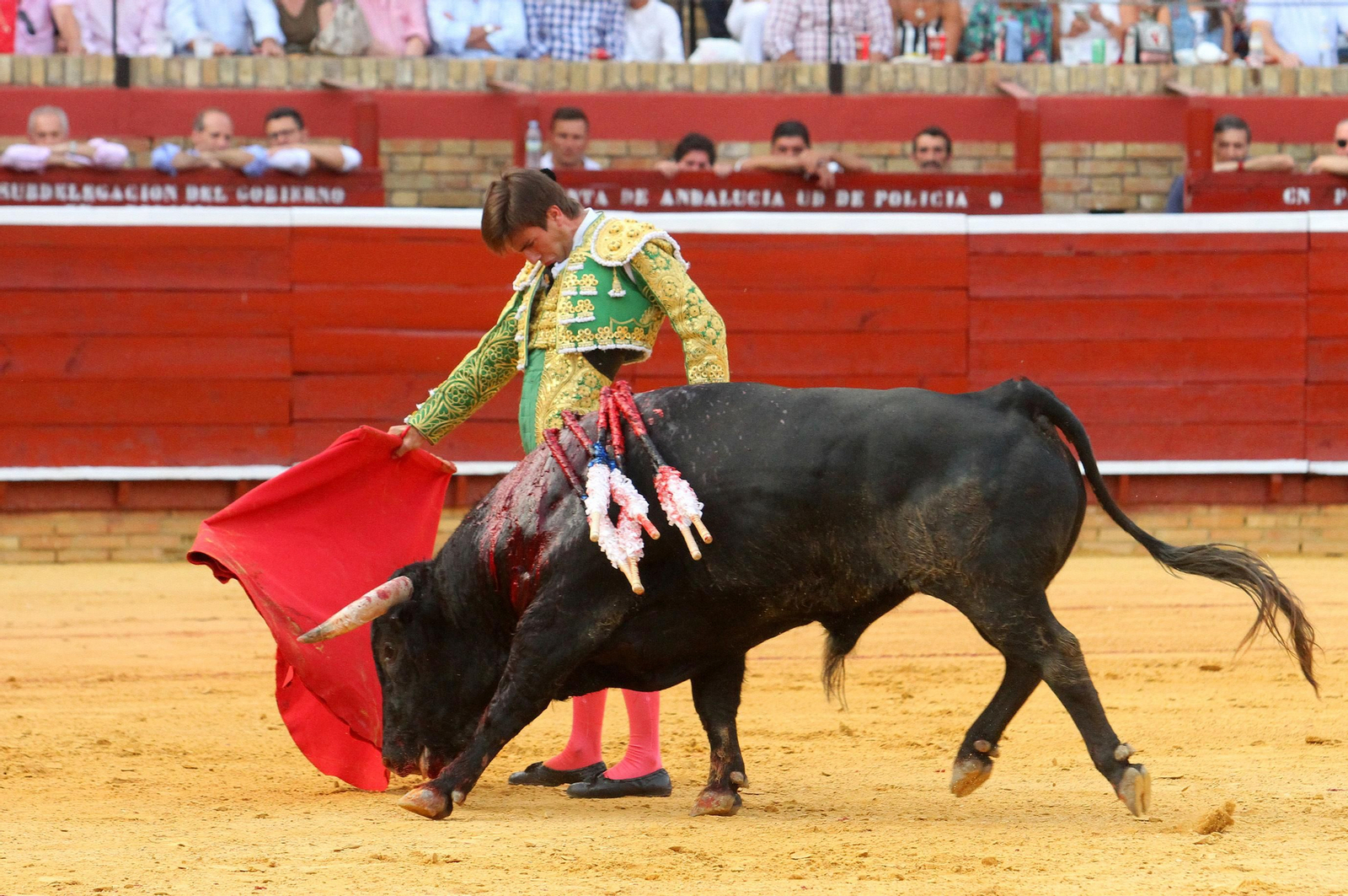 Faena de Emilio Silvera en la novillada de la Plaza de La Merced