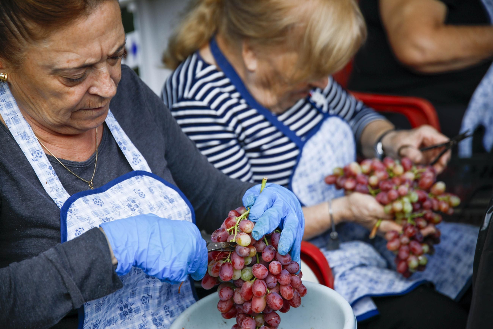 La tradicional faena de la uva de Canjayar, en imágenes